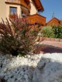 /album/fotogaleria/a20750495-1379783258810066-1425461378-n-jpg/